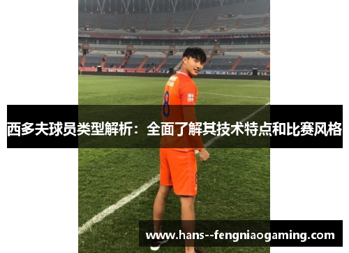 西多夫球员类型解析：全面了解其技术特点和比赛风格