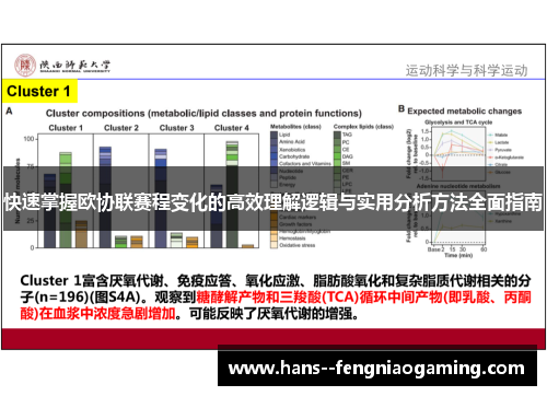 快速掌握欧协联赛程变化的高效理解逻辑与实用分析方法全面指南