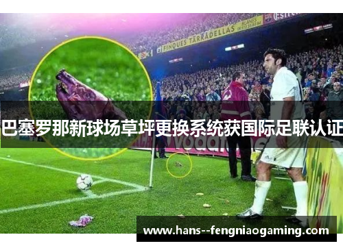 巴塞罗那新球场草坪更换系统获国际足联认证 巴塞罗那新球场草坪更换系统获国际足联认证