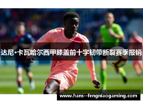 达尼·卡瓦哈尔西甲膝盖前十字韧带断裂赛季报销