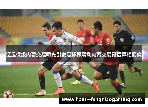 辽足保级内幕交易曝光引发足球界震动内幕交易背后真相揭晓